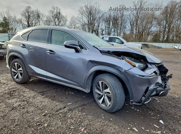 JTJBARBZ8K2186929 2019 LEXUS NX Серый Передняя правая четверть
