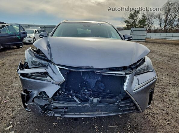 JTJBARBZ8K2186929 2019 LEXUS NX Серый Вид спереди