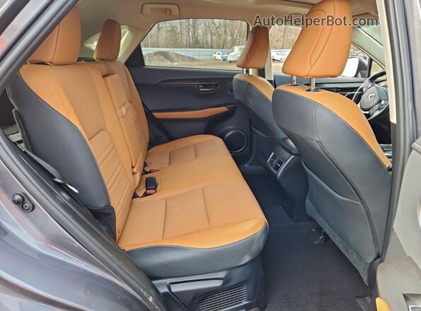 JTJBARBZ8K2186929 2019 LEXUS NX Серый Вид задней части салона