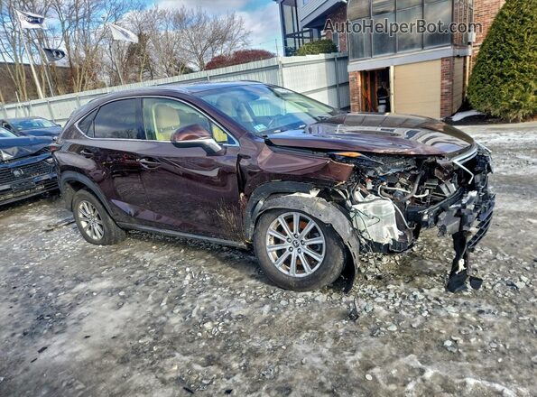 JTJBARBZ9K2187698 2019 LEXUS NX Burgundy Przód prawy
