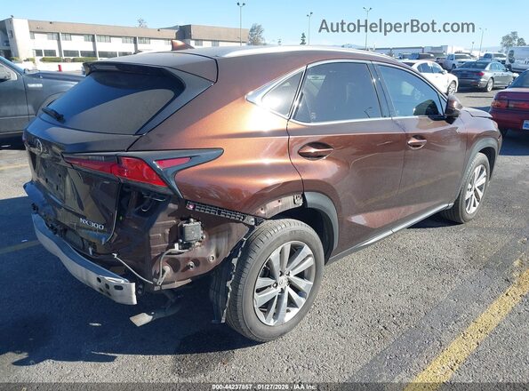 JTJBARBZXK2215542 2019 LEXUS NX 300 Brown Tył prawy