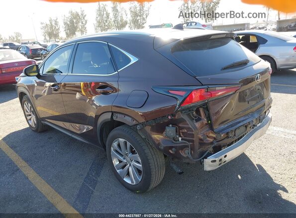 JTJBARBZXK2215542 2019 LEXUS NX 300 Brown Tył lewy