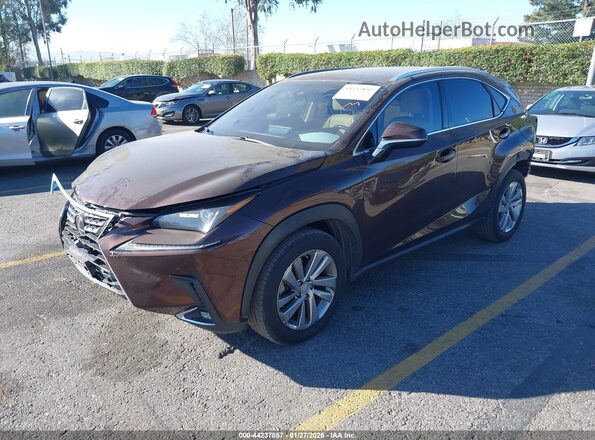 JTJBARBZXK2215542 2019 LEXUS NX 300 Brown Przód lewy