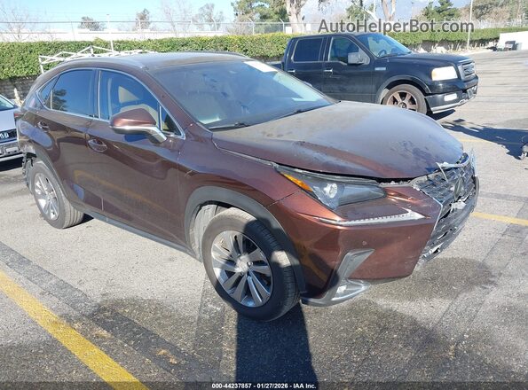 JTJBARBZXK2215542 2019 LEXUS NX 300 Brown Przód prawy