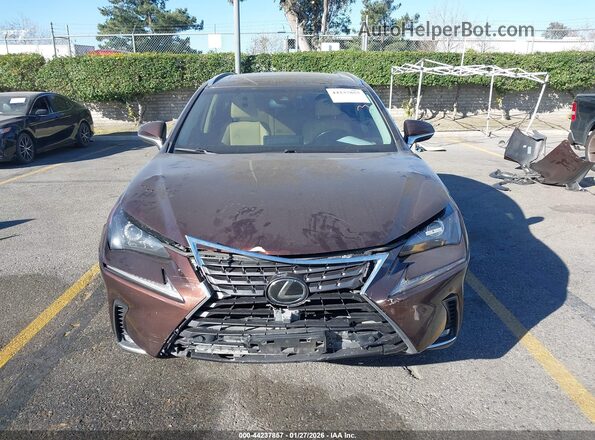 JTJBARBZXK2215542 2019 LEXUS NX 300 Brown Widok wnętrza z tyłu