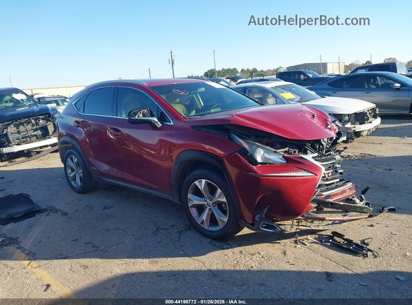 JTJBJRBZ3H2062396 2017 LEXUS NX 300H Красный Вид задней части салона