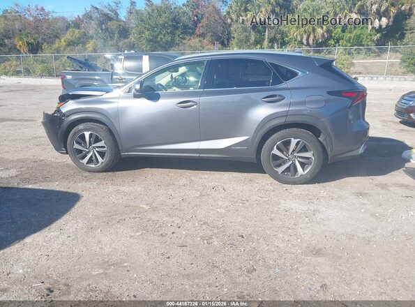 JTJBJRBZ4K2125917 2019 LEXUS NX 300H Серый Вид задней части салона