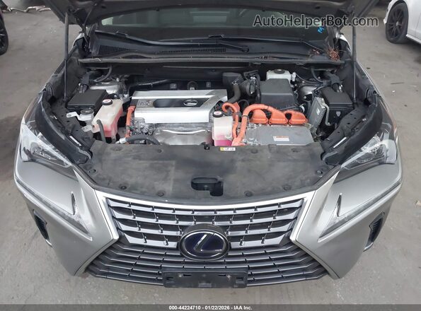 JTJBJRBZ6K2122856 2019 LEXUS NX 300H Серый Вид сзади