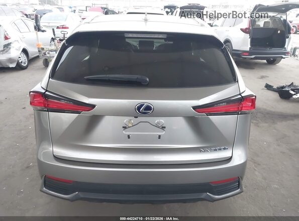 JTJBJRBZ6K2122856 2019 LEXUS NX 300H Серый 