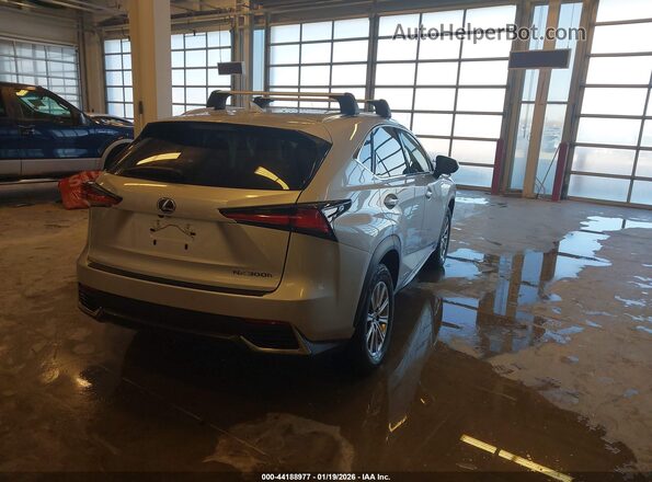 JTJBJRBZ8K2114029 2019 LEXUS NX 300H Серебряный Задняя правая четверть