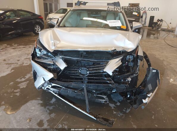 JTJBJRBZ8K2114029 2019 LEXUS NX 300H Серебряный Вид спереди