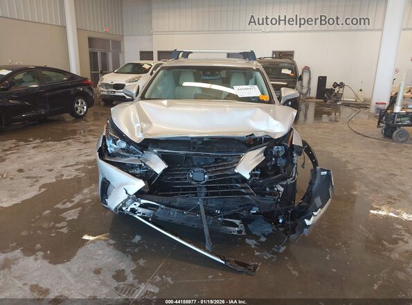 JTJBJRBZ8K2114029 2019 LEXUS NX 300H Серебряный Вид задней части салона