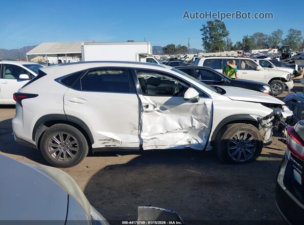 JTJBJRBZXK2103176 2019 LEXUS NX 300H Белый Вид задней части салона
