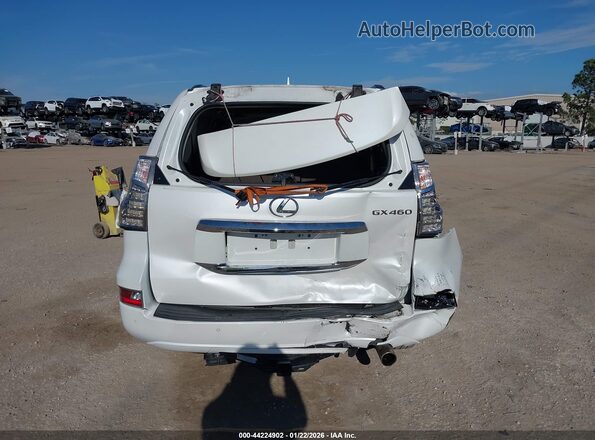 JTJBM7FX3G5126647 2016 LEXUS GX 460 Белый Вид спереди