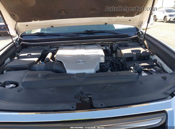 JTJBM7FX3G5126647 2016 LEXUS GX 460 Белый Вид сзади