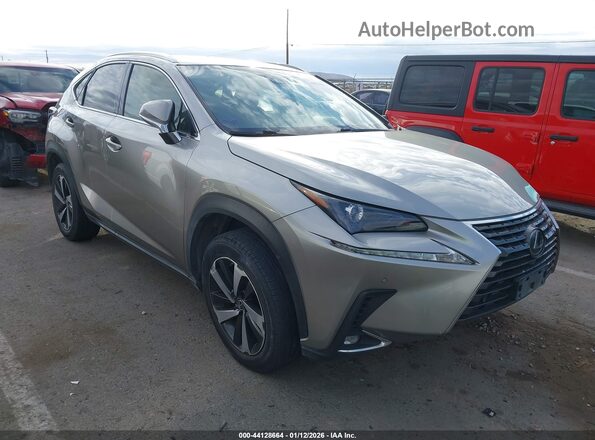 JTJDARBZ0L2165020 2020 LEXUS NX 300 Beige Delantero derecho