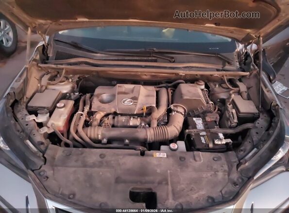 JTJDARBZ0L2165020 2020 LEXUS NX 300 Beige Vista trasera