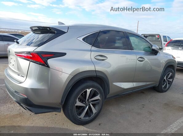 JTJDARBZ0L2165020 2020 LEXUS NX 300 Beige Vista interior trasera
