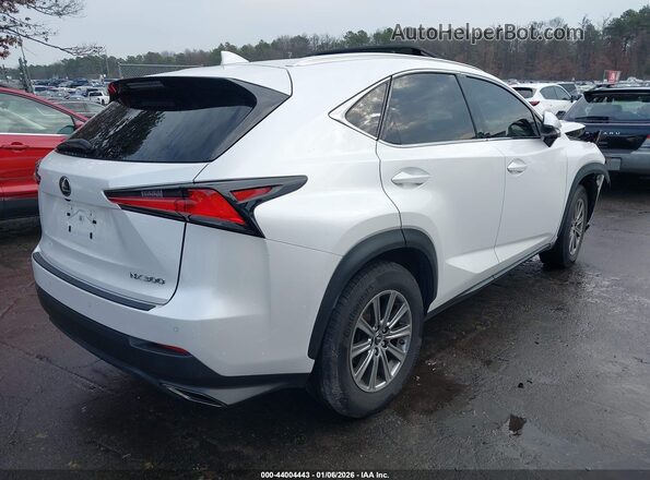 JTJDARBZ8L2176931 2020 LEXUS NX 300 Белый Задняя правая четверть