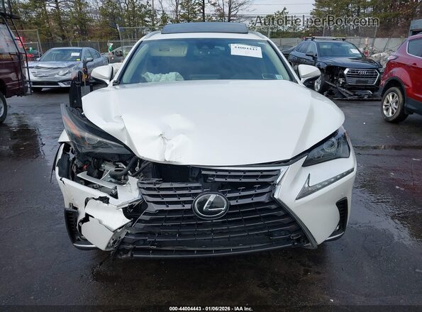 JTJDARBZ8L2176931 2020 LEXUS NX 300 Белый Вид спереди