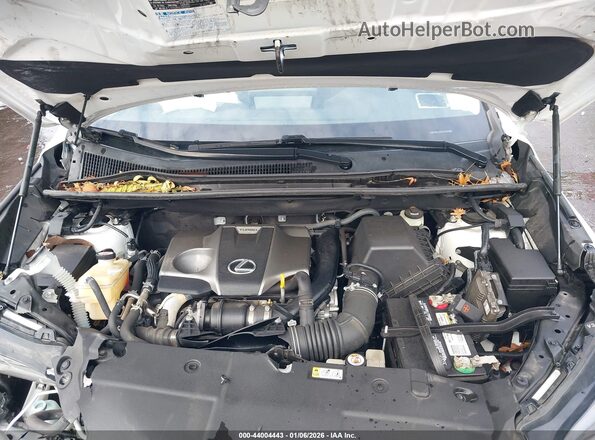 JTJDARBZ8L2176931 2020 LEXUS NX 300 Белый Вид сзади
