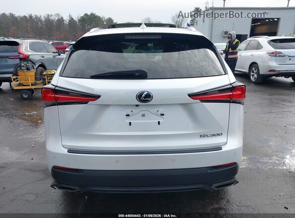 JTJDARBZ8L2176931 2020 LEXUS NX 300 Белый 