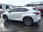 2020 Lexus Nx 300   Белый vin: JTJDARBZ8L2176931