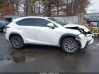 2020 Lexus Nx 300   Белый vin: JTJDARBZ8L2176931
