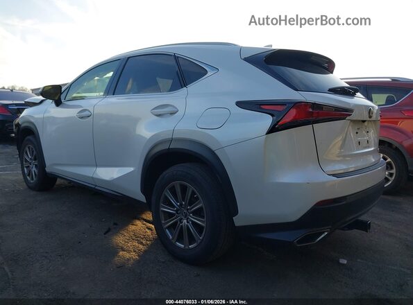 JTJDARBZ8M5029444 2021 LEXUS NX 300 Белый Задняя левая четверть
