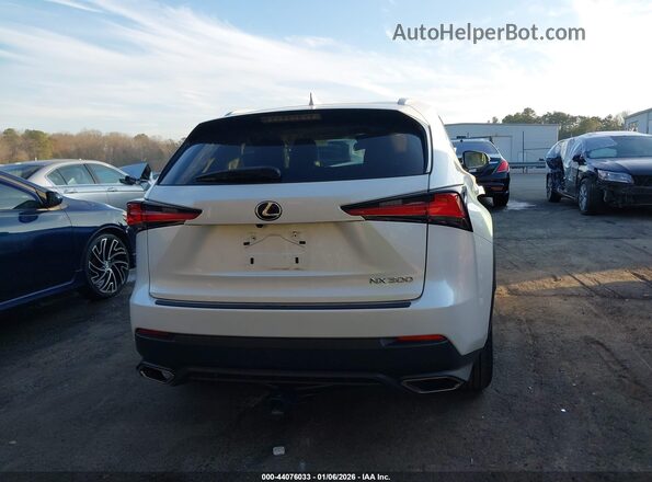 JTJDARBZ8M5029444 2021 LEXUS NX 300 Белый 