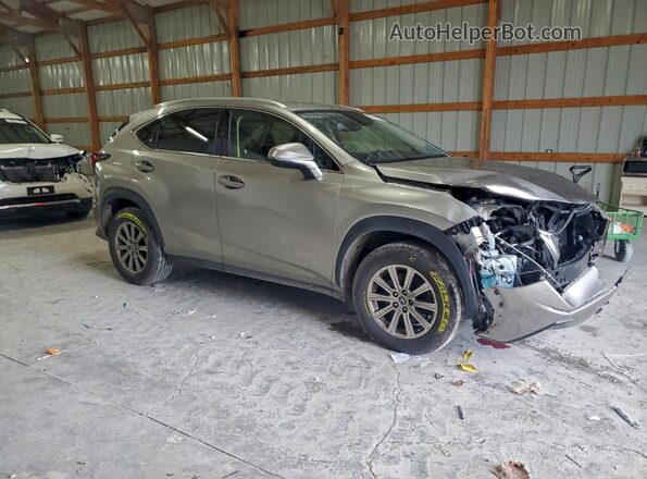 JTJDARDZ4M2260453 2021 LEXUS NX Gray Przód prawy