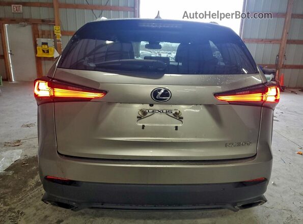 JTJDARDZ4M2260453 2021 LEXUS NX Gray Widok z tyłu
