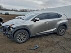 2020 Lexus Nx 300 Gray vin: JTJDARDZ8L5005673