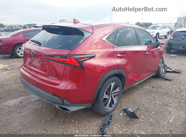 JTJGARBZ0L2158968 2020 LEXUS NX 300 Красный Задняя правая четверть