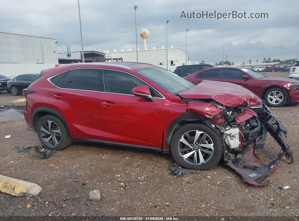 JTJGARBZ0L2158968 2020 LEXUS NX 300 Красный Вид задней части салона