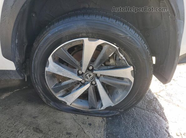 JTJGARBZ6M2200934 2021 LEXUS NX Белый 