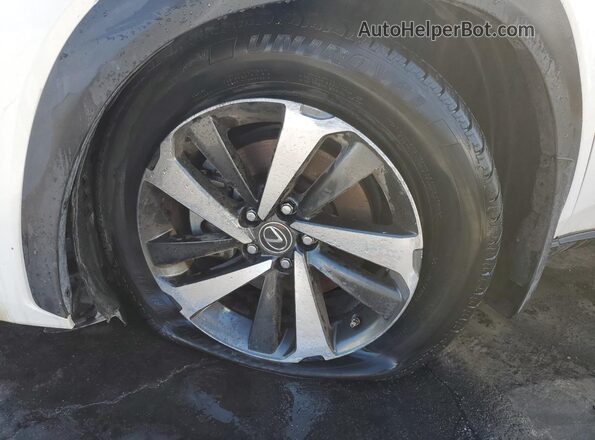 JTJGARBZ6M2200934 2021 LEXUS NX Белый 