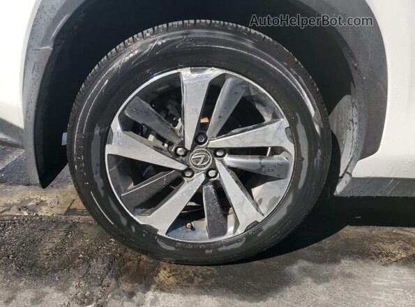 JTJGARBZ6M2200934 2021 LEXUS NX Белый 