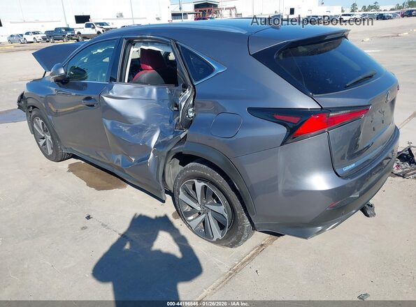 JTJGARDZ1M2236785 2021 LEXUS NX 300 Серый Задняя левая четверть