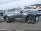 2023 Lexus Nx 250 Premium Серый vin: JTJGDCAZ0P2006328