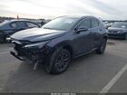 2023 Lexus Nx 250 Premium Серый vin: JTJGDCAZ0P2006328