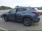 2023 Lexus Nx 250 Premium Серый vin: JTJGDCAZ0P2006328