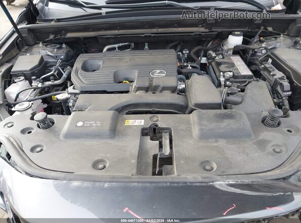 JTJGDCAZ0P2006328 2023 LEXUS NX 250 Серый Вид сзади