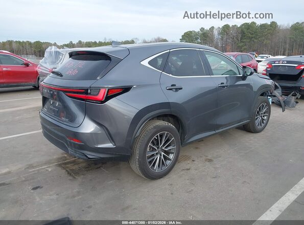 JTJGDCAZ0P2006328 2023 LEXUS NX 250 Серый Задняя правая четверть