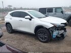 2025 Lexus Nx 250 Premium Белый vin: JTJGDCAZ8S2022351