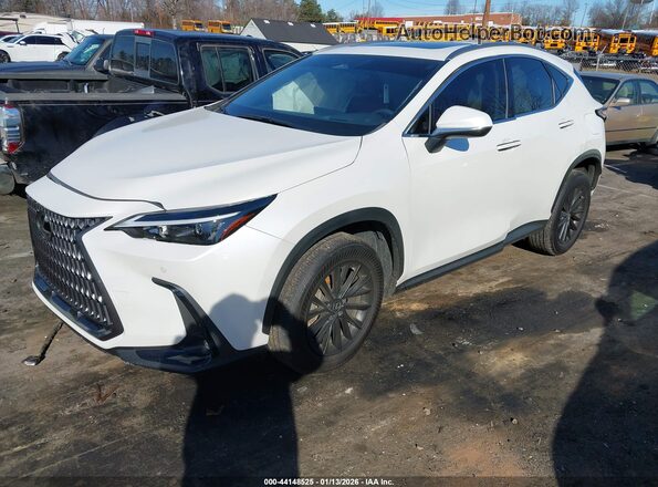 JTJGGCEZ5S2019330 2025 LEXUS NX 350 Белый Передняя левая четверть