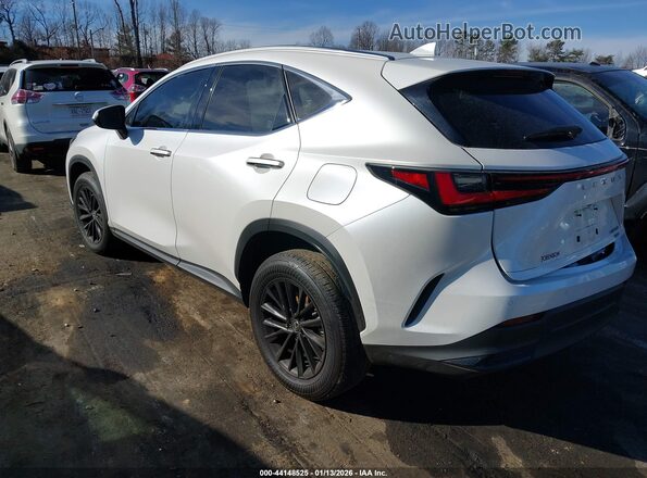 JTJGGCEZ5S2019330 2025 LEXUS NX 350 Белый Задняя левая четверть