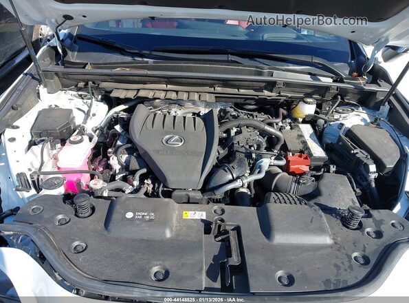 JTJGGCEZ5S2019330 2025 LEXUS NX 350 Белый Вид сзади