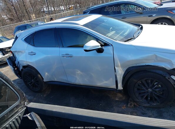 JTJGGCEZ5S2019330 2025 LEXUS NX 350 Белый Вид задней части салона