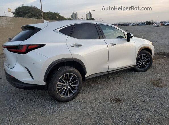 JTJGKCEZ1S5030709 2025 LEXUS NX White უკანა მარჯვენა